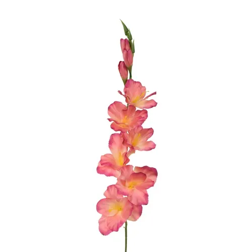 Gladiolus – vetvička 77 cm pink/yellow K321